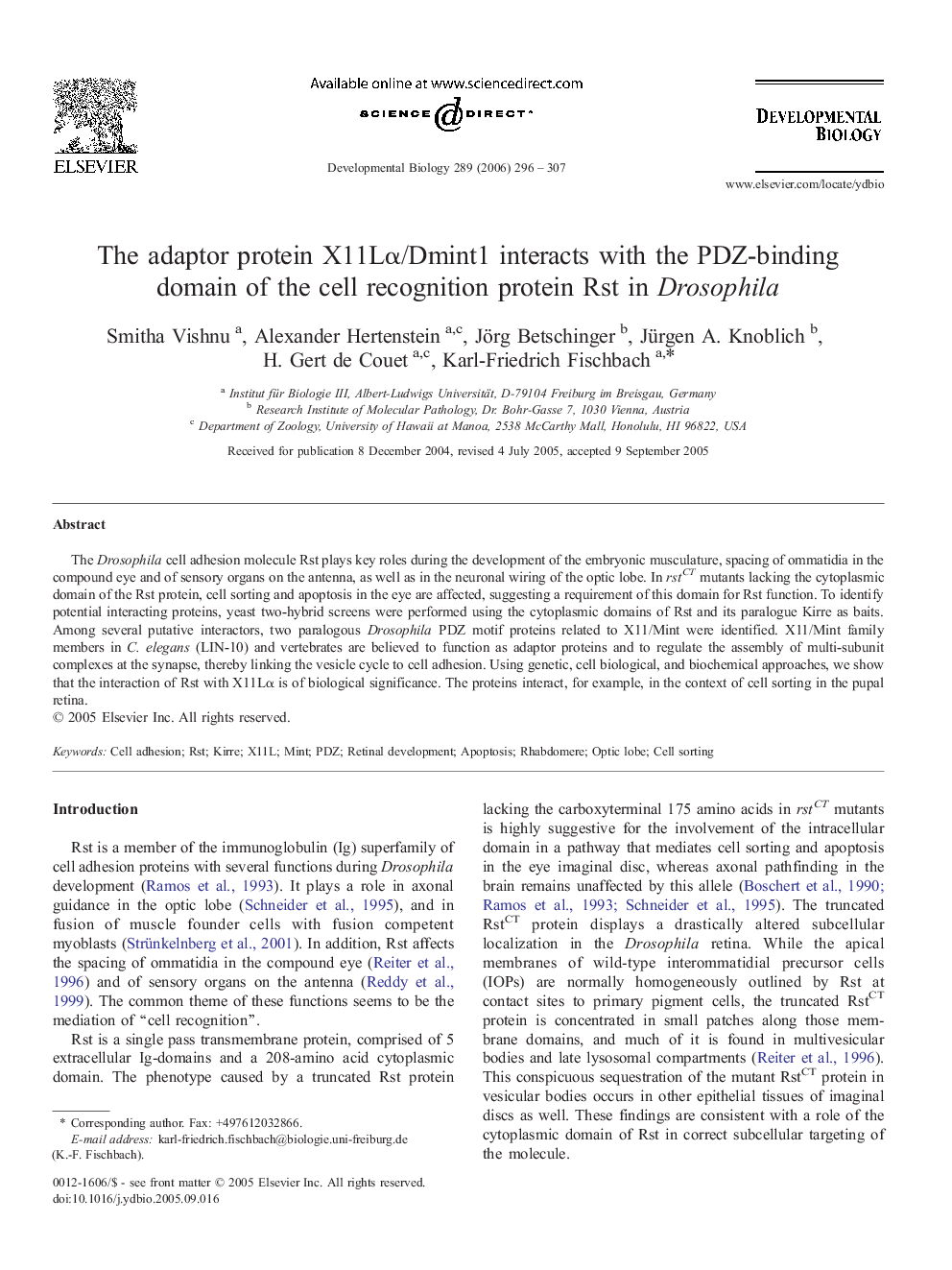 The adaptor protein X11Lα/Dmint1 interacts with the PDZ-binding domain of the cell recognition protein Rst in Drosophila