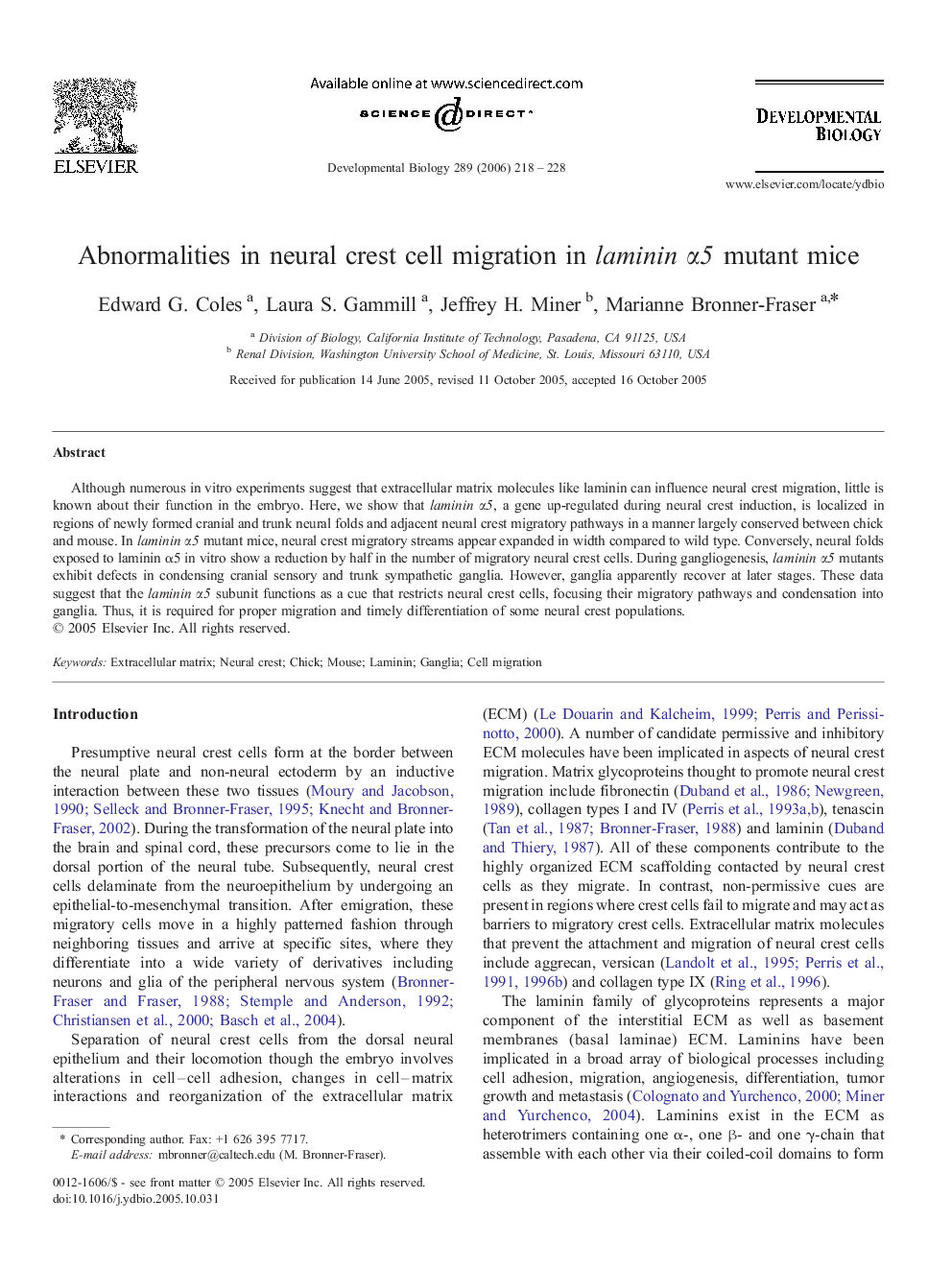 Abnormalities in neural crest cell migration in laminin α5 mutant mice