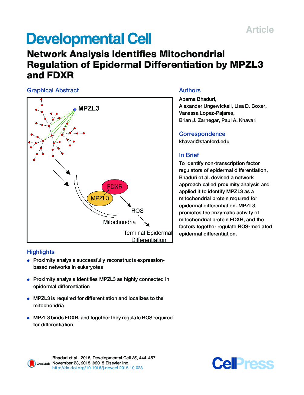 Network Analysis Identifies Mitochondrial Regulation of Epidermal Differentiation by MPZL3 and FDXR