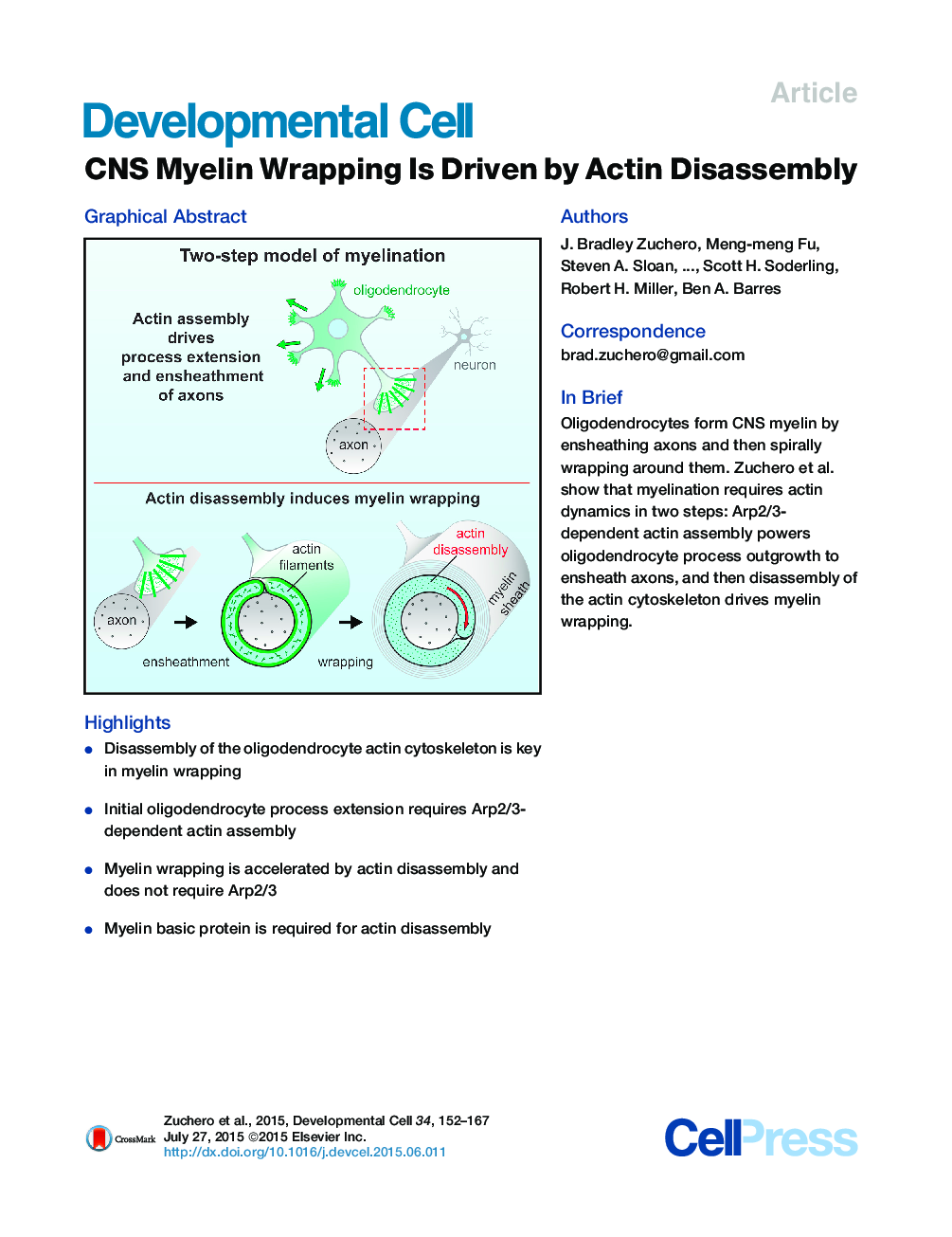 عکس صفحه اول مقاله: CNS Myelin Wrapping Is Driven by Actin Disassembly CNS Myelin Wrapping Is Driven by Actin Disassembly