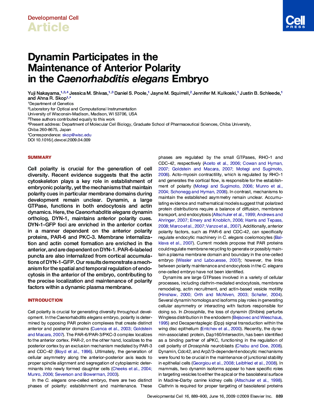 Dynamin Participates in the Maintenance of Anterior Polarity in the Caenorhabditis elegans Embryo