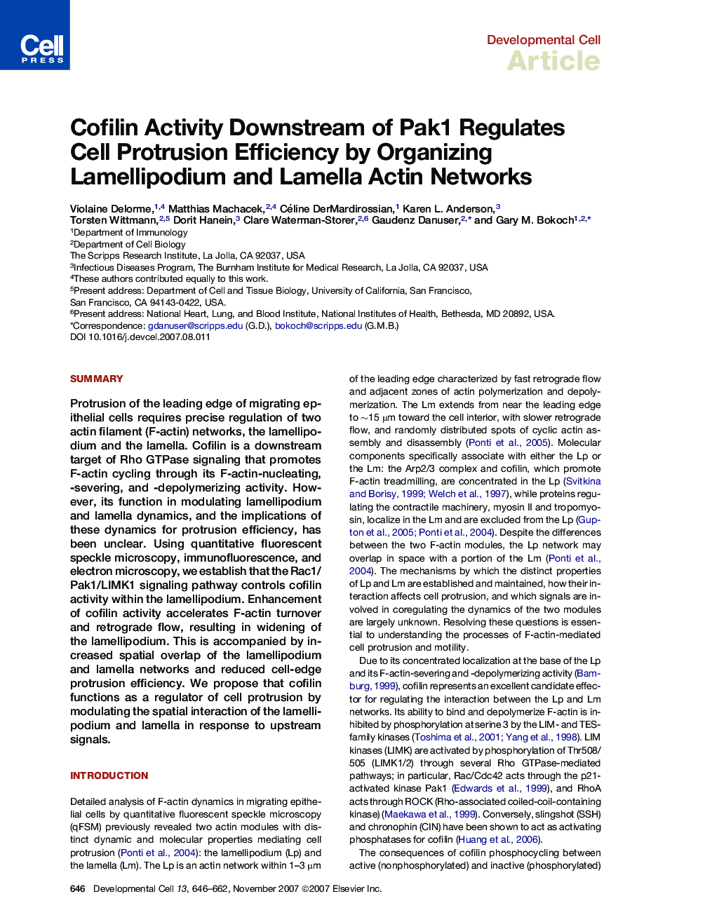 Cofilin Activity Downstream of Pak1 Regulates Cell Protrusion Efficiency by Organizing Lamellipodium and Lamella Actin Networks