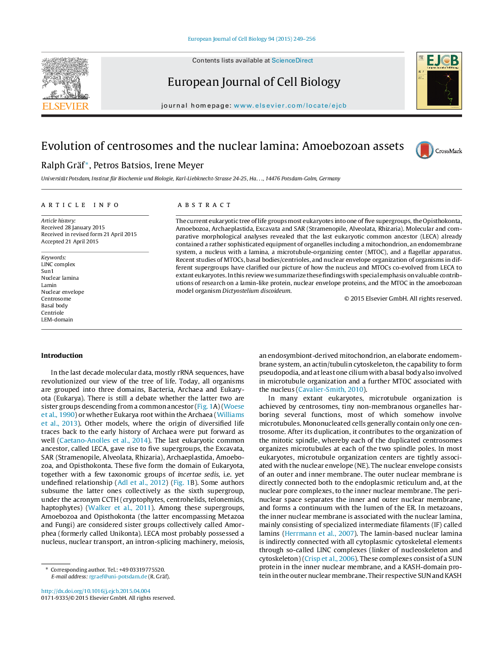 Evolution of centrosomes and the nuclear lamina: Amoebozoan assets