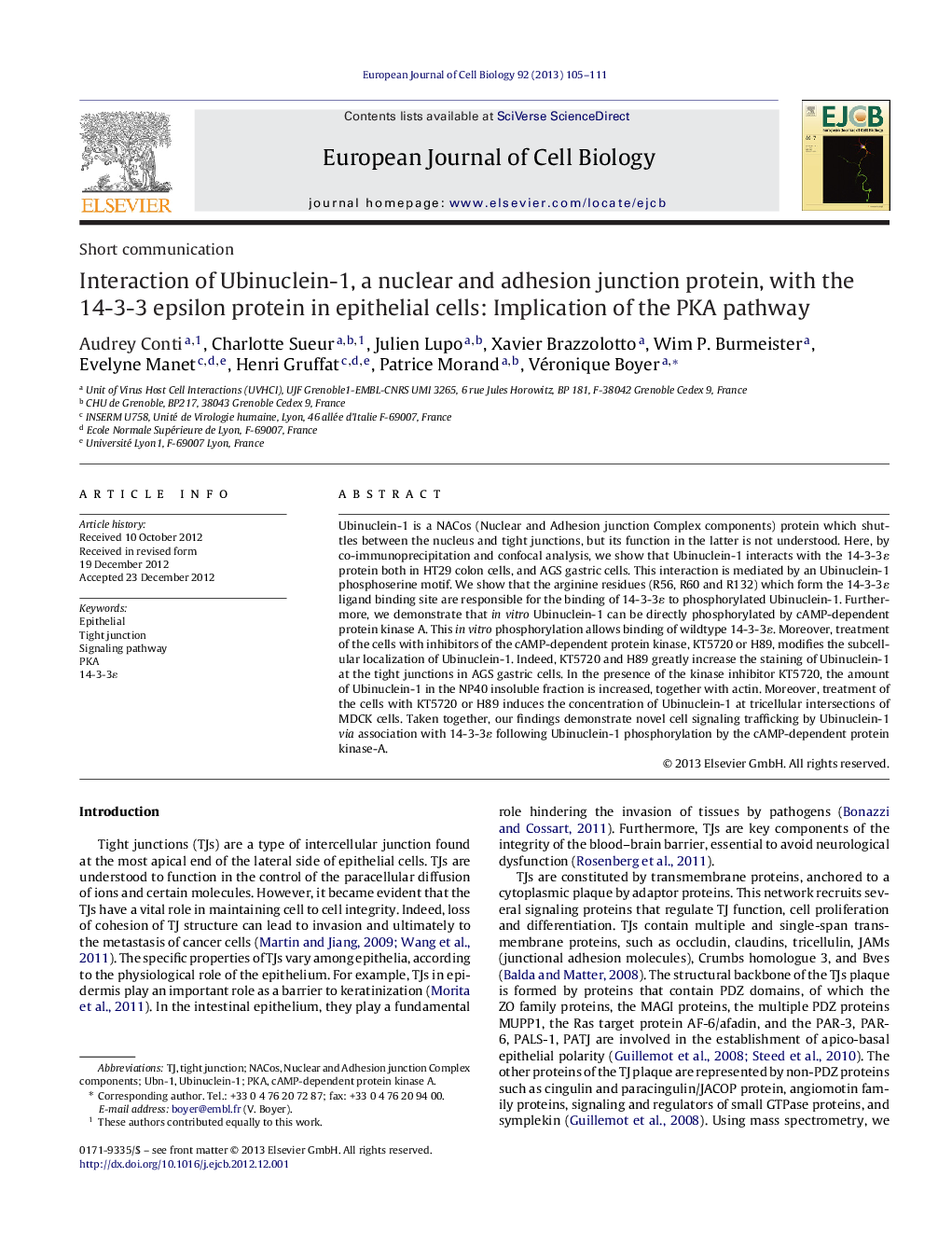 Interaction of Ubinuclein-1, a nuclear and adhesion junction protein, with the 14-3-3 epsilon protein in epithelial cells: Implication of the PKA pathway