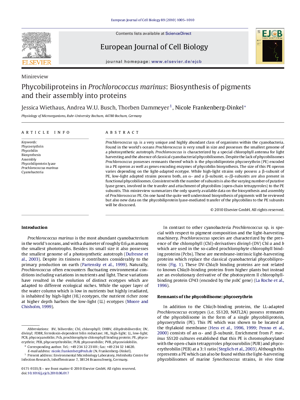 Phycobiliproteins in Prochlorococcus marinus: Biosynthesis of pigments and their assembly into proteins