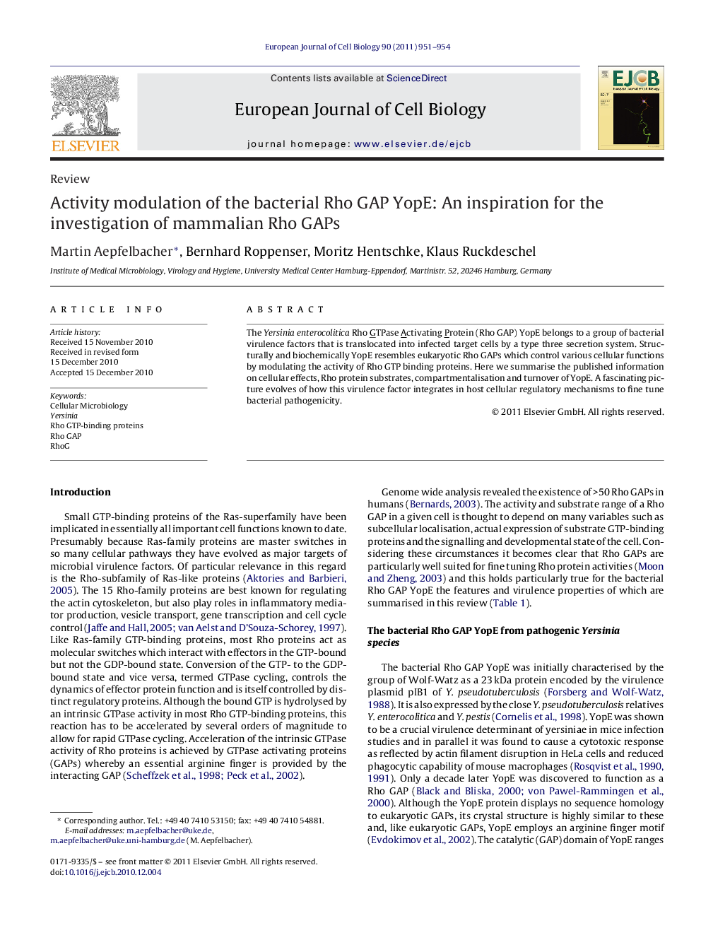 Activity modulation of the bacterial Rho GAP YopE: An inspiration for the investigation of mammalian Rho GAPs