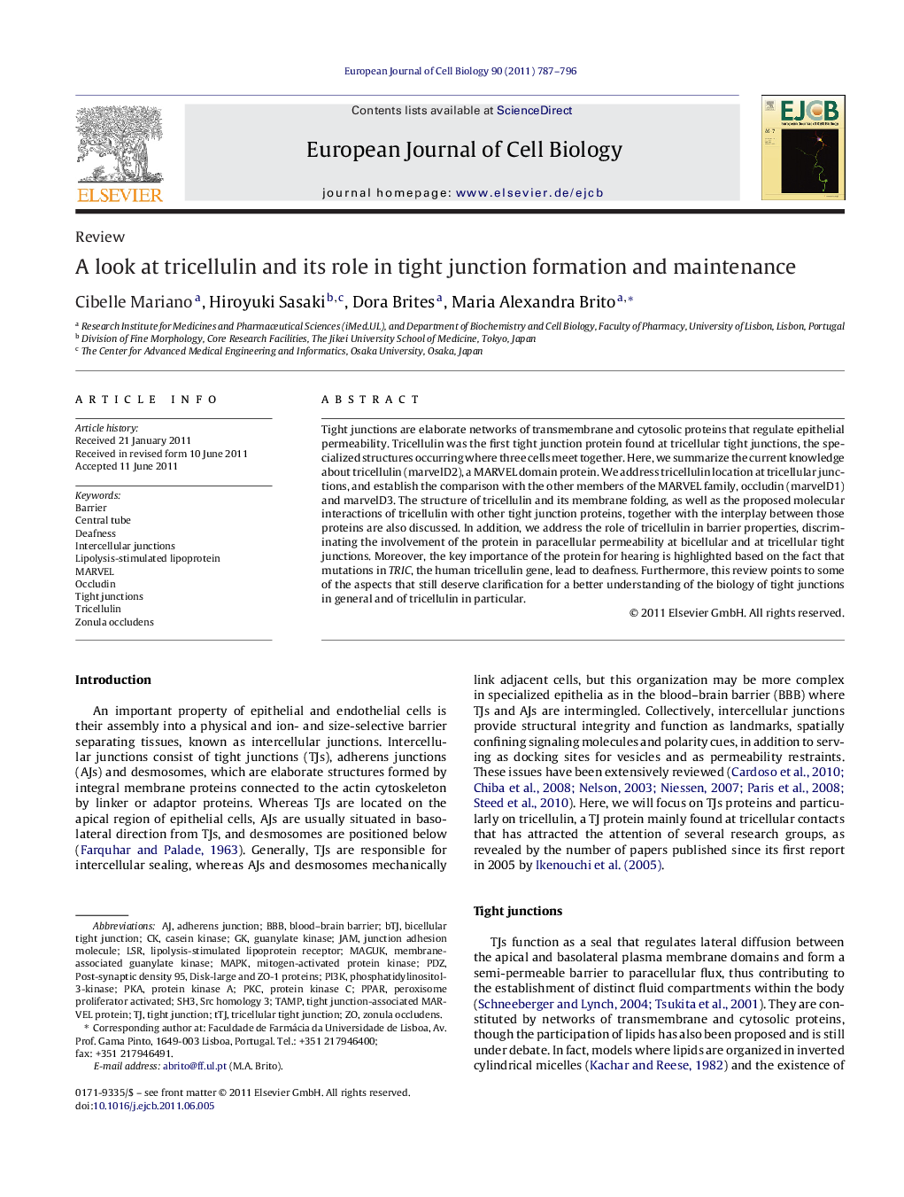 A look at tricellulin and its role in tight junction formation and maintenance