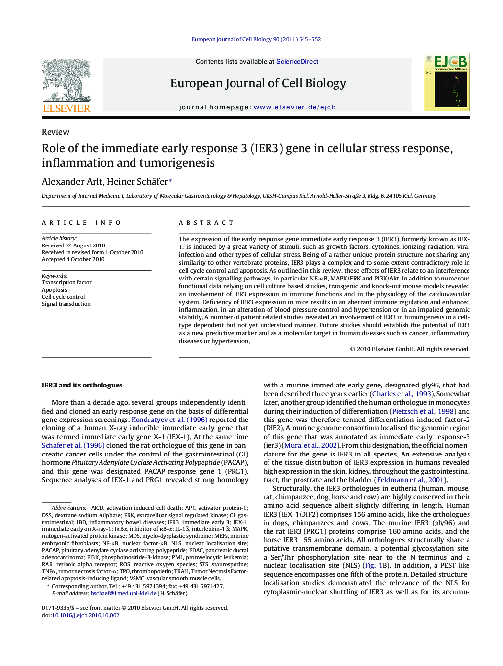 Role of the immediate early response 3 (IER3) gene in cellular stress response, inflammation and tumorigenesis