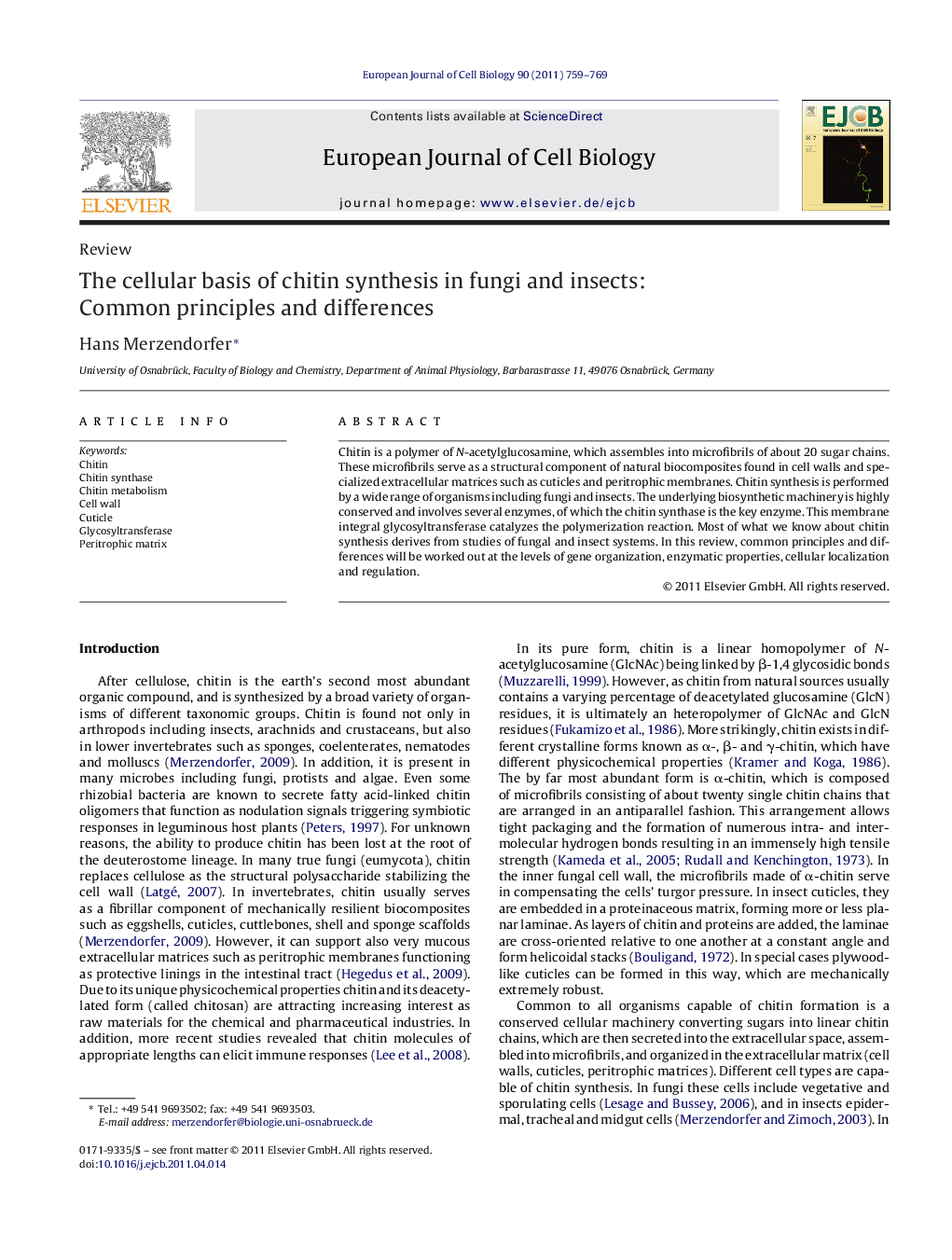 The cellular basis of chitin synthesis in fungi and insects: Common principles and differences