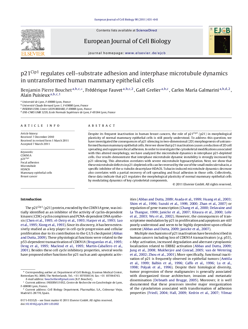 p21Cip1 regulates cell–substrate adhesion and interphase microtubule dynamics in untransformed human mammary epithelial cells