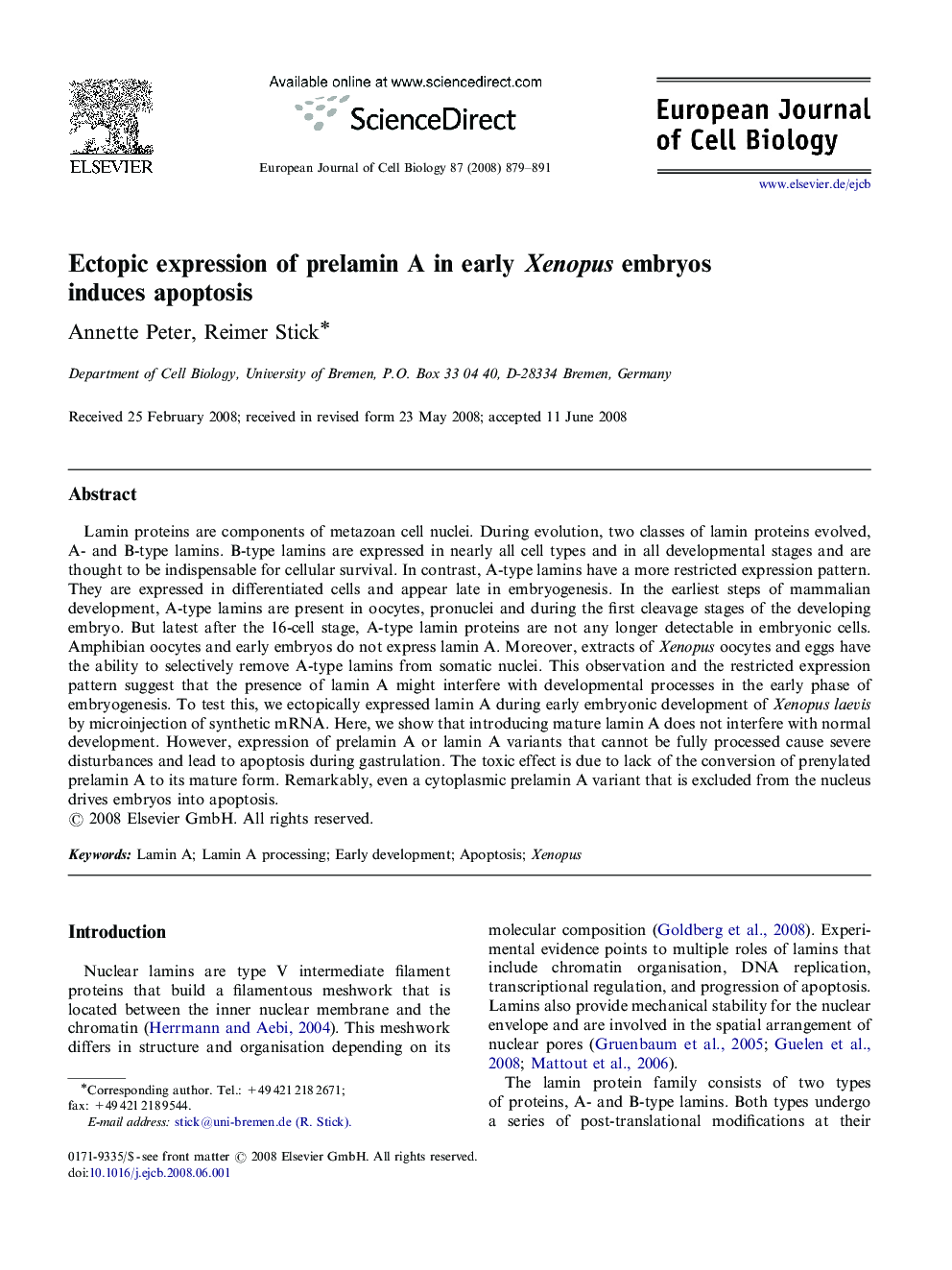 Ectopic expression of prelamin A in early Xenopus embryos induces apoptosis