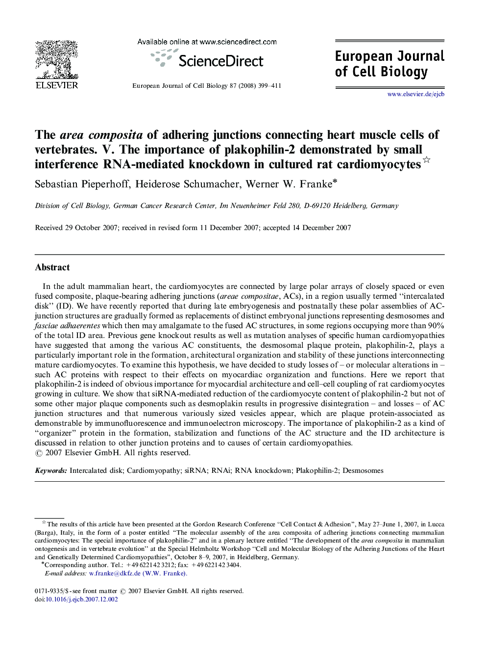 The area composita of adhering junctions connecting heart muscle cells of vertebrates. V. The importance of plakophilin-2 demonstrated by small interference RNA-mediated knockdown in cultured rat cardiomyocytes 