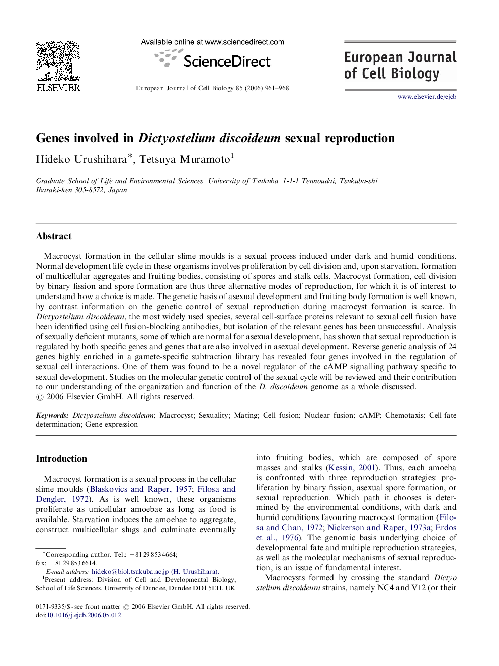 Genes involved in Dictyostelium discoideum sexual reproduction