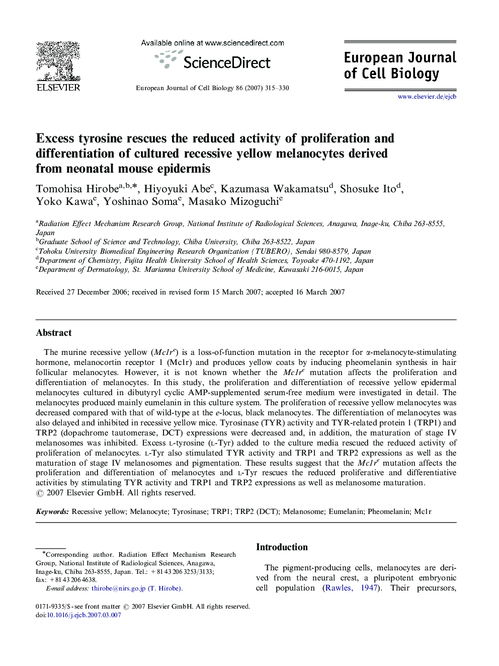 Excess tyrosine rescues the reduced activity of proliferation and differentiation of cultured recessive yellow melanocytes derived from neonatal mouse epidermis