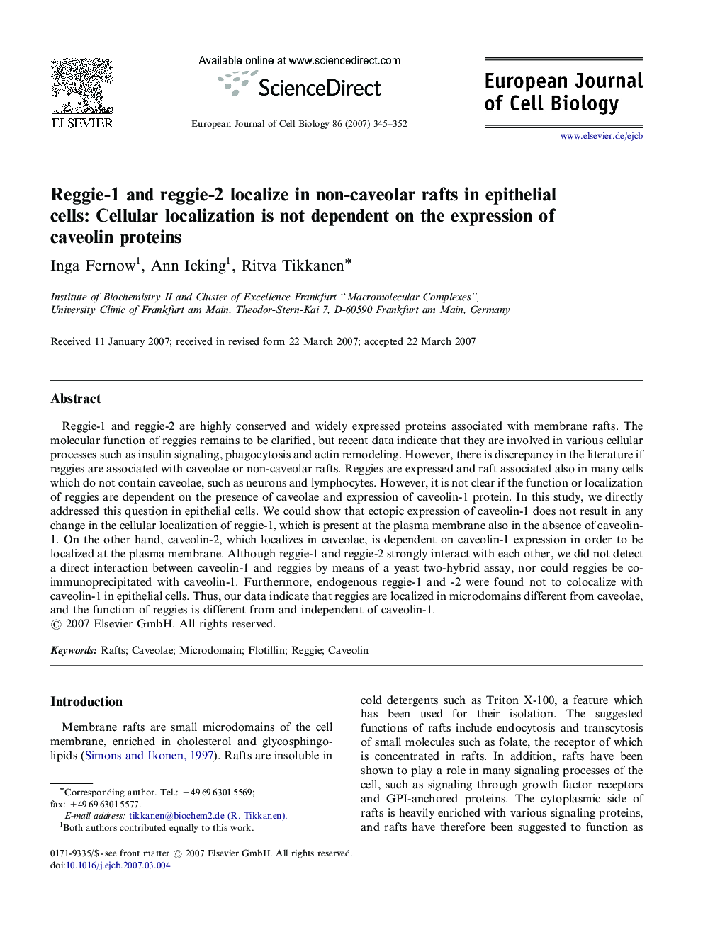 Reggie-1 and reggie-2 localize in non-caveolar rafts in epithelial cells: Cellular localization is not dependent on the expression of caveolin proteins