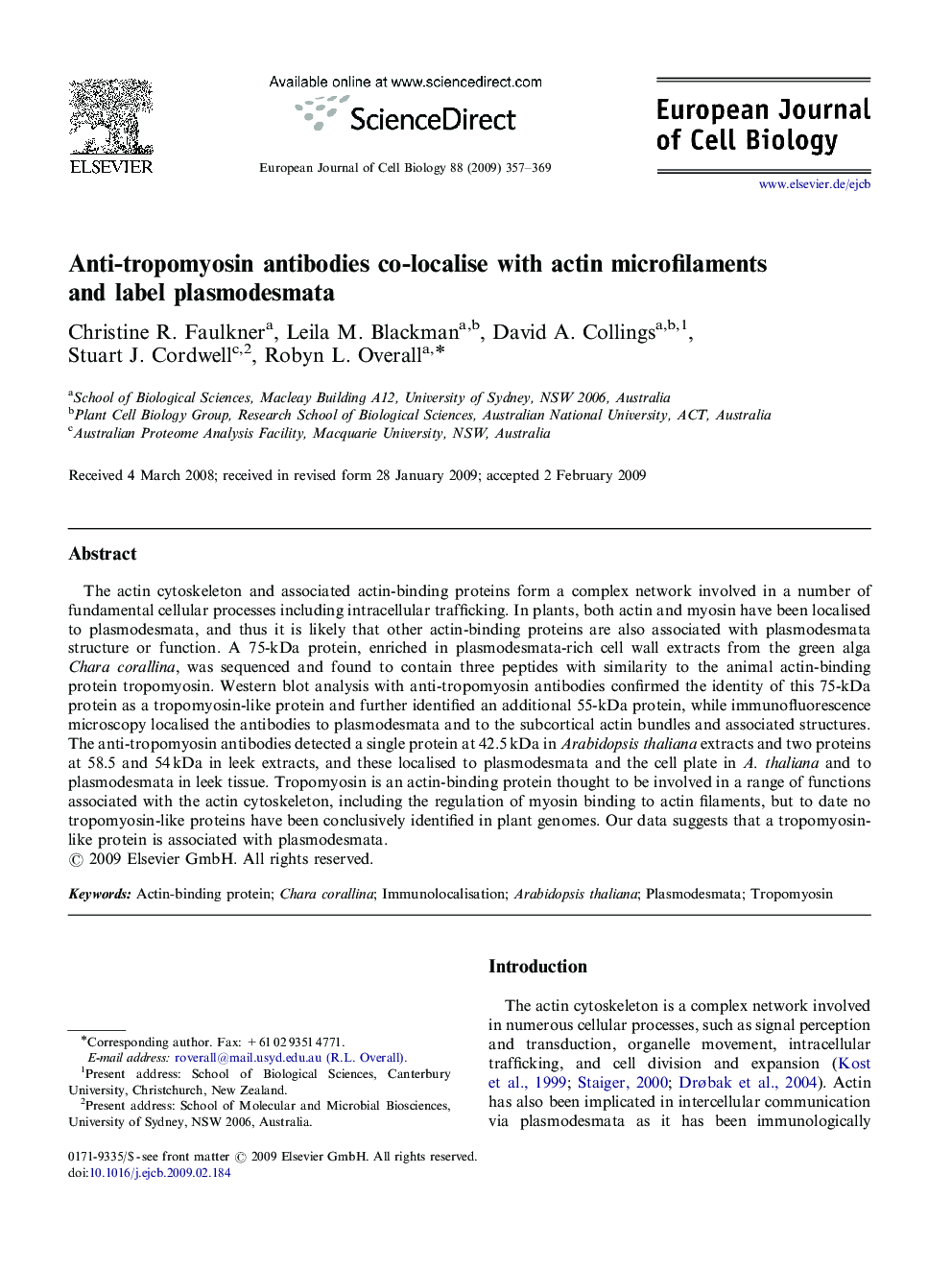 Anti-tropomyosin antibodies co-localise with actin microfilaments and label plasmodesmata