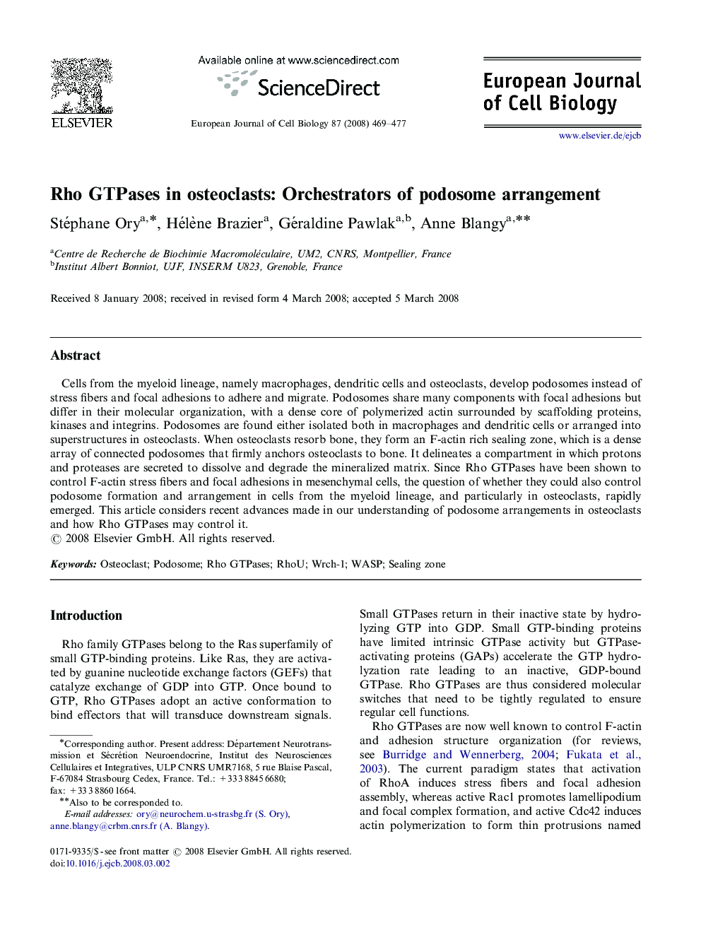 Rho GTPases in osteoclasts: Orchestrators of podosome arrangement