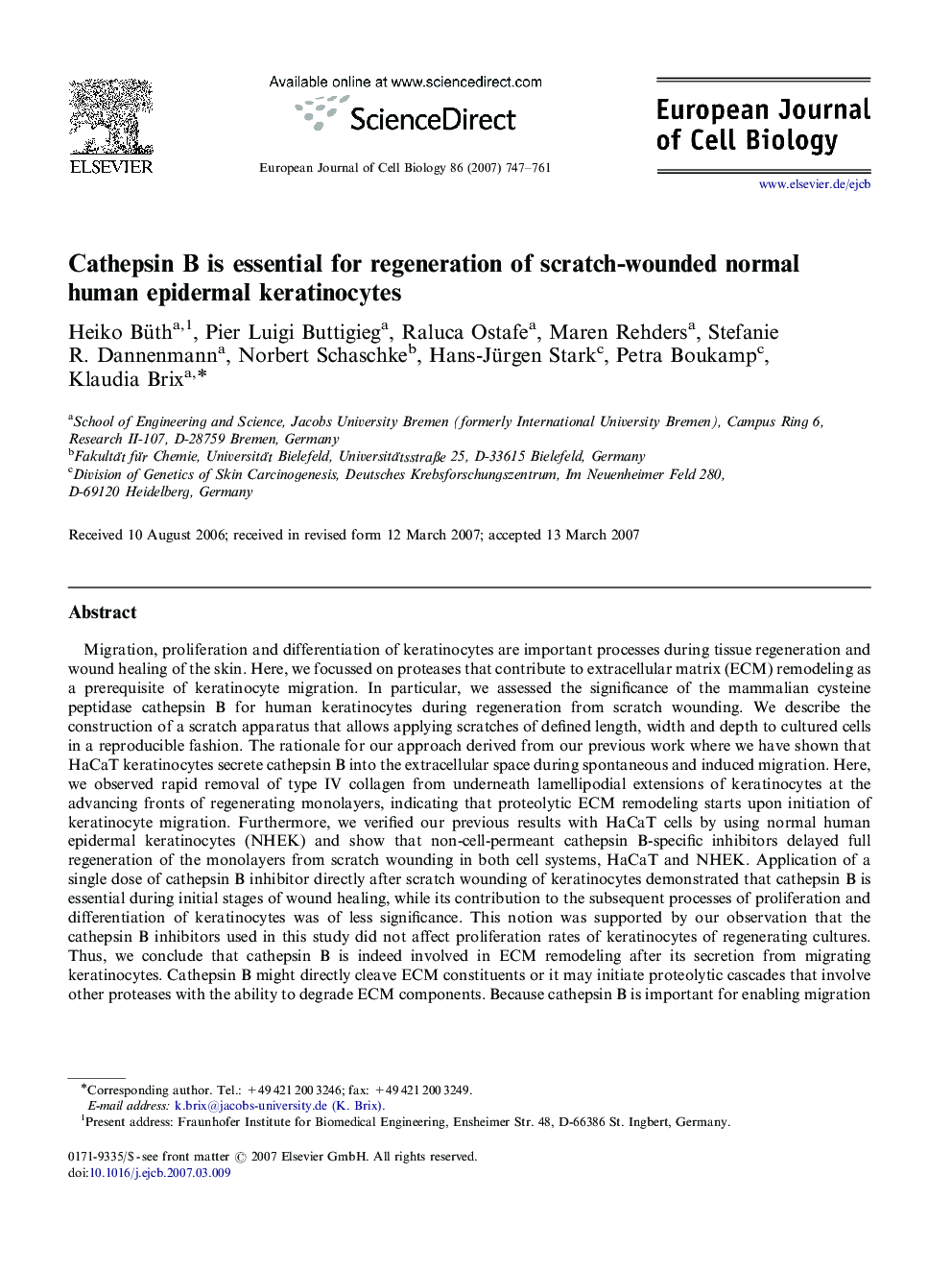 Cathepsin B is essential for regeneration of scratch-wounded normal human epidermal keratinocytes