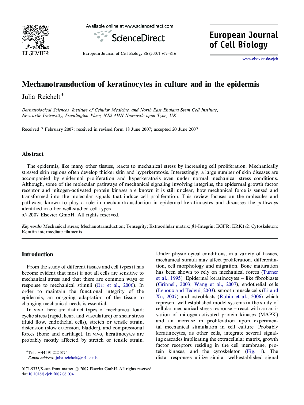 Mechanotransduction of keratinocytes in culture and in the epidermis