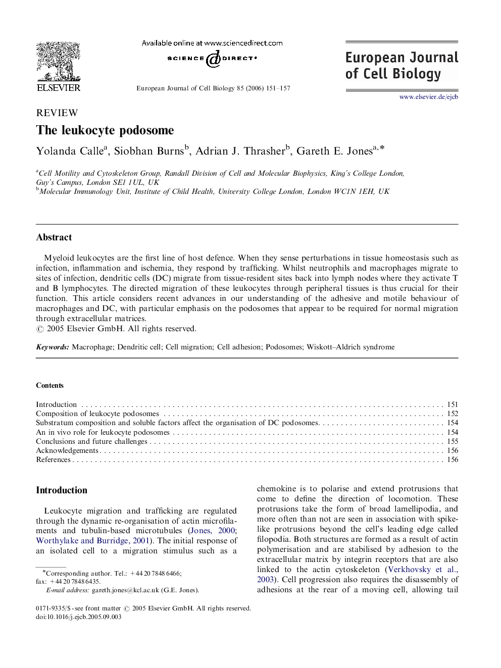 The leukocyte podosome