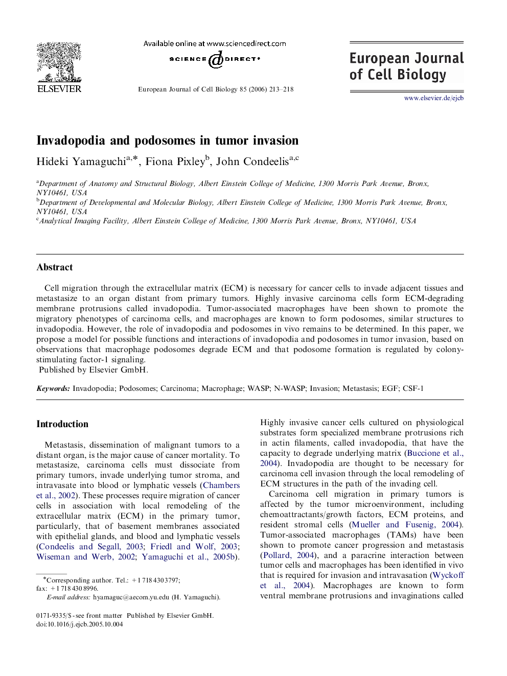 Invadopodia and podosomes in tumor invasion