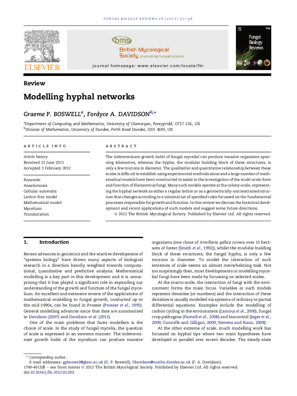 Modelling hyphal networks