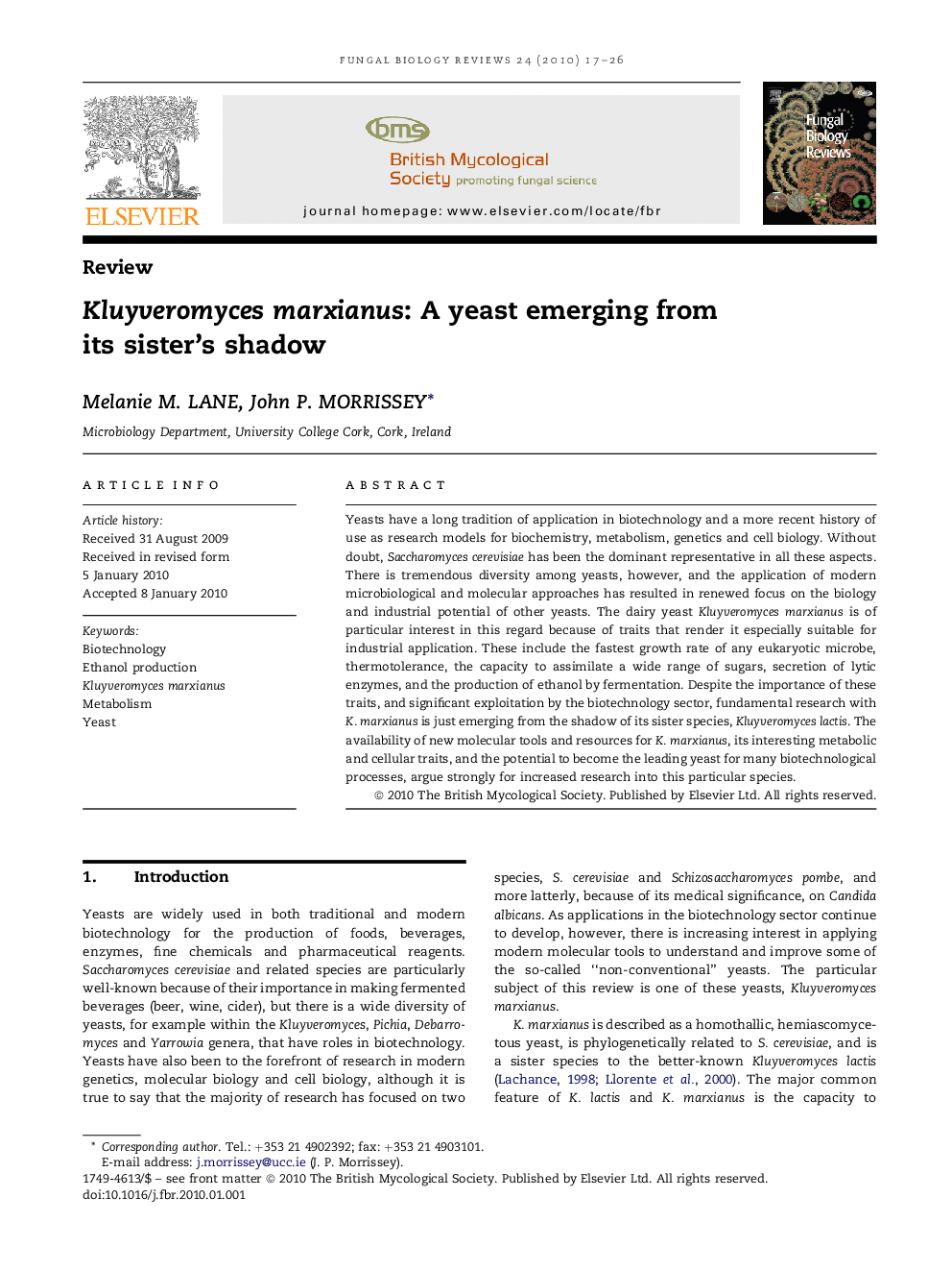 Kluyveromyces marxianus: A yeast emerging from its sister's shadow