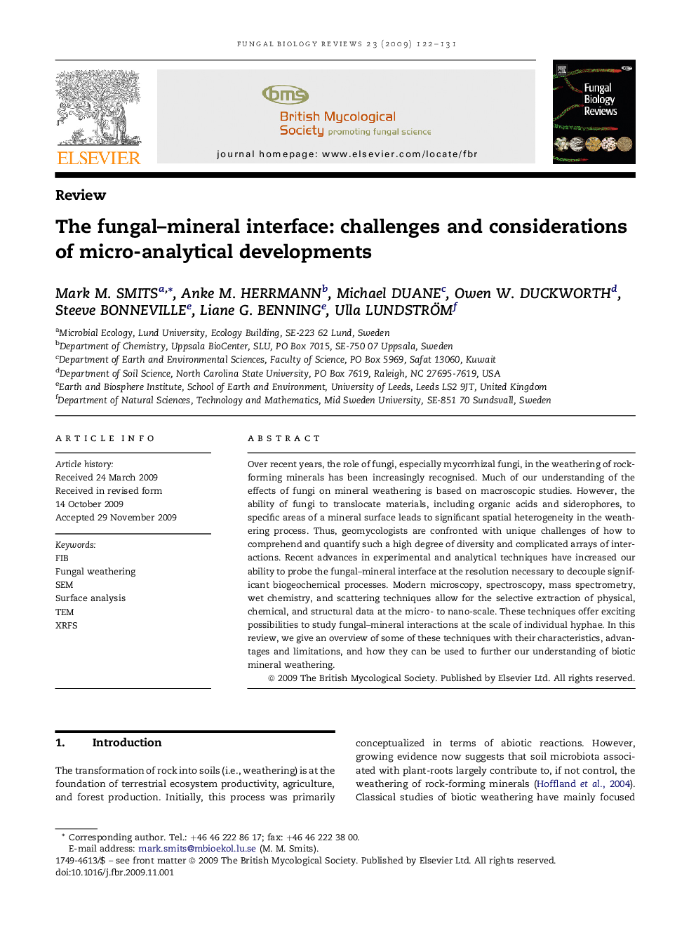 The fungal–mineral interface: challenges and considerations of micro-analytical developments