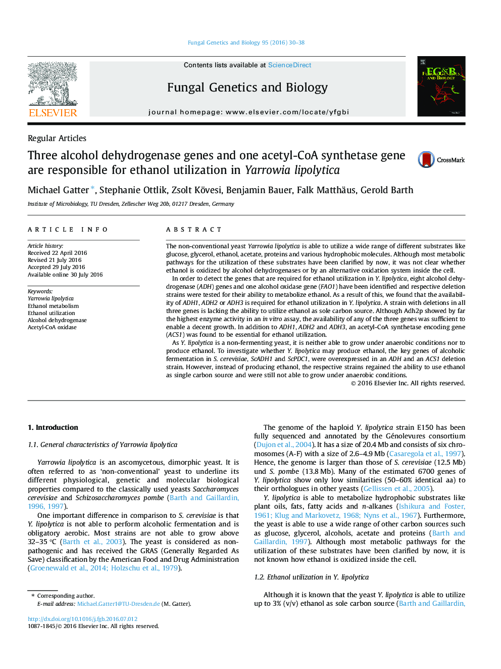 Three alcohol dehydrogenase genes and one acetyl-CoA synthetase gene are responsible for ethanol utilization in Yarrowia lipolytica