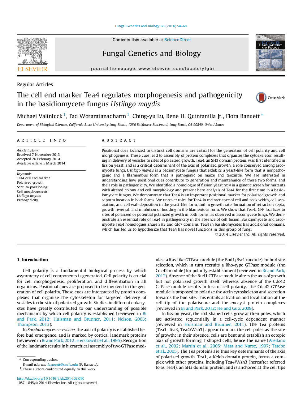 The cell end marker Tea4 regulates morphogenesis and pathogenicity in the basidiomycete fungus Ustilago maydis