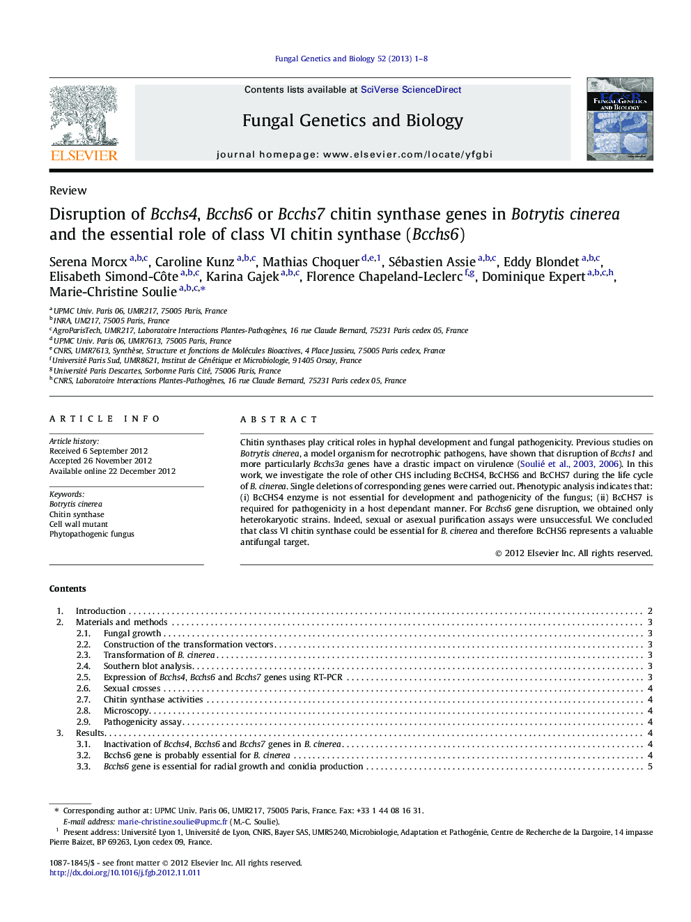 Disruption of Bcchs4, Bcchs6 or Bcchs7 chitin synthase genes in Botrytis cinerea and the essential role of class VI chitin synthase (Bcchs6)