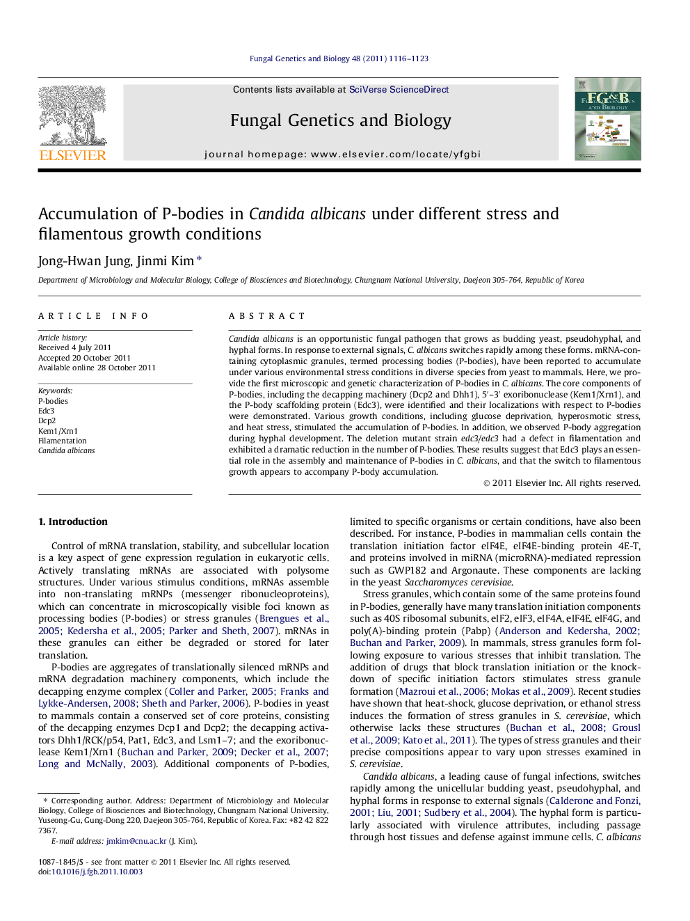 Accumulation of P-bodies in Candida albicans under different stress and filamentous growth conditions