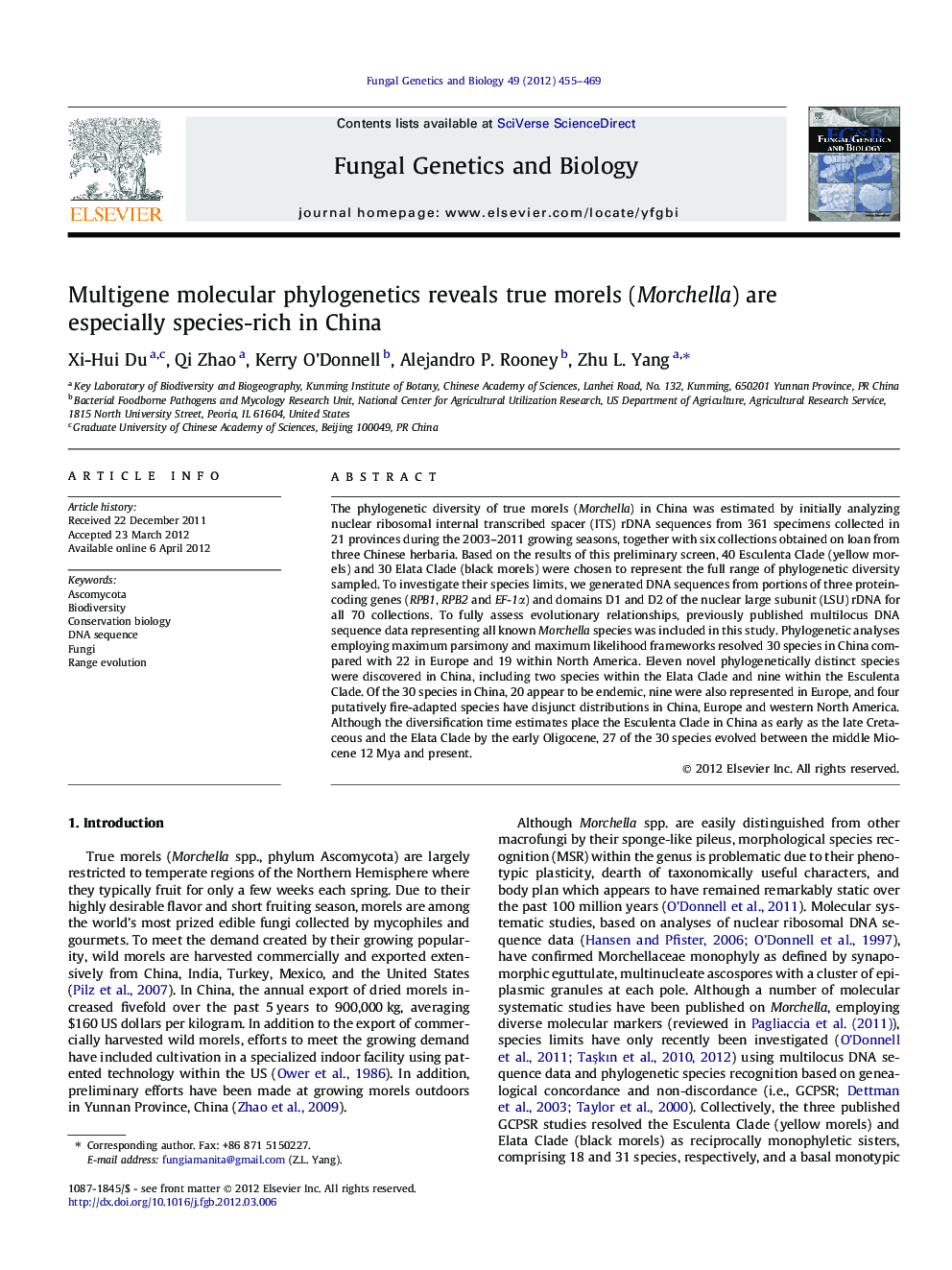 Multigene molecular phylogenetics reveals true morels (Morchella) are especially species-rich in China