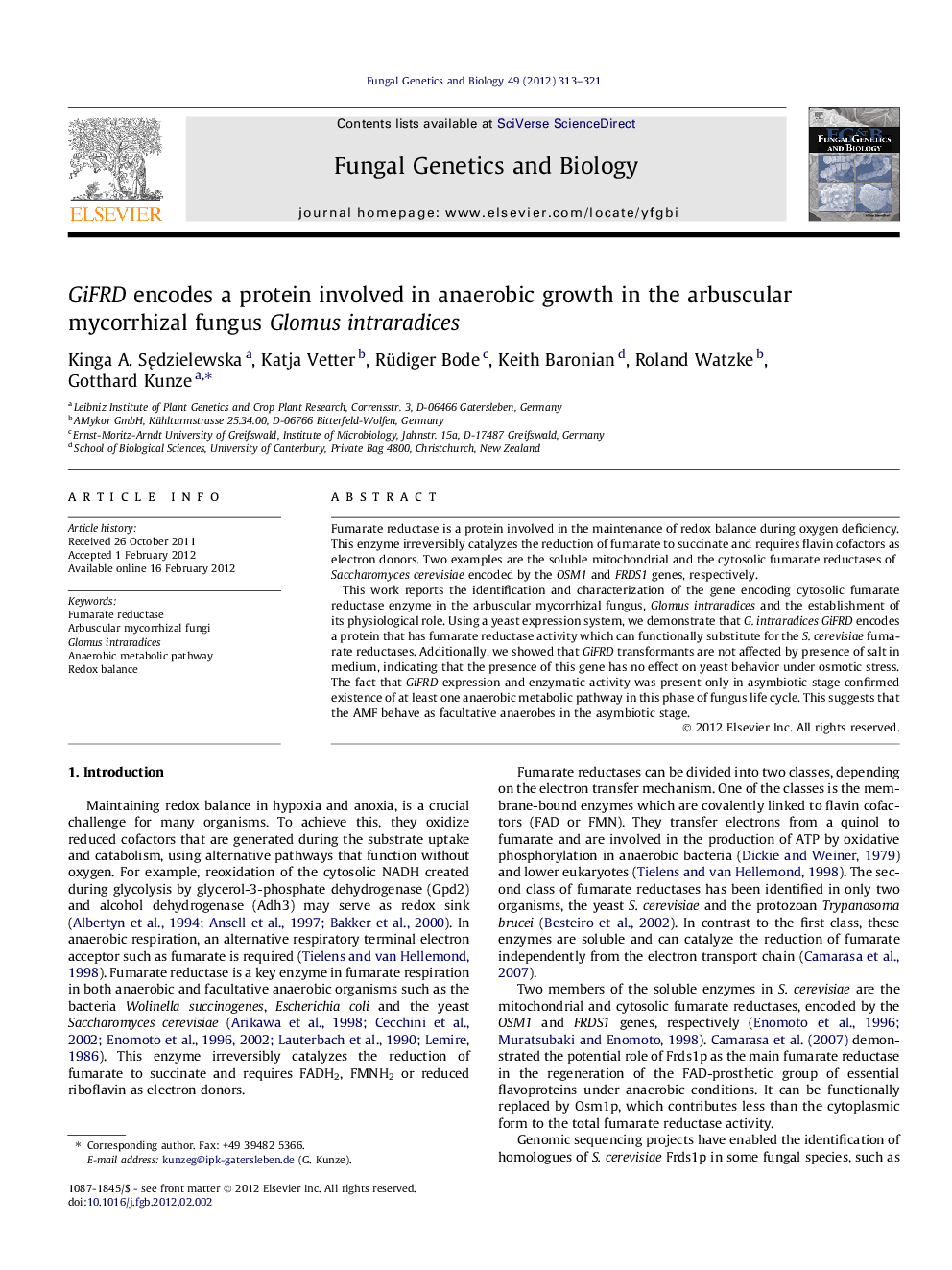 GiFRD encodes a protein involved in anaerobic growth in the arbuscular mycorrhizal fungus Glomus intraradices