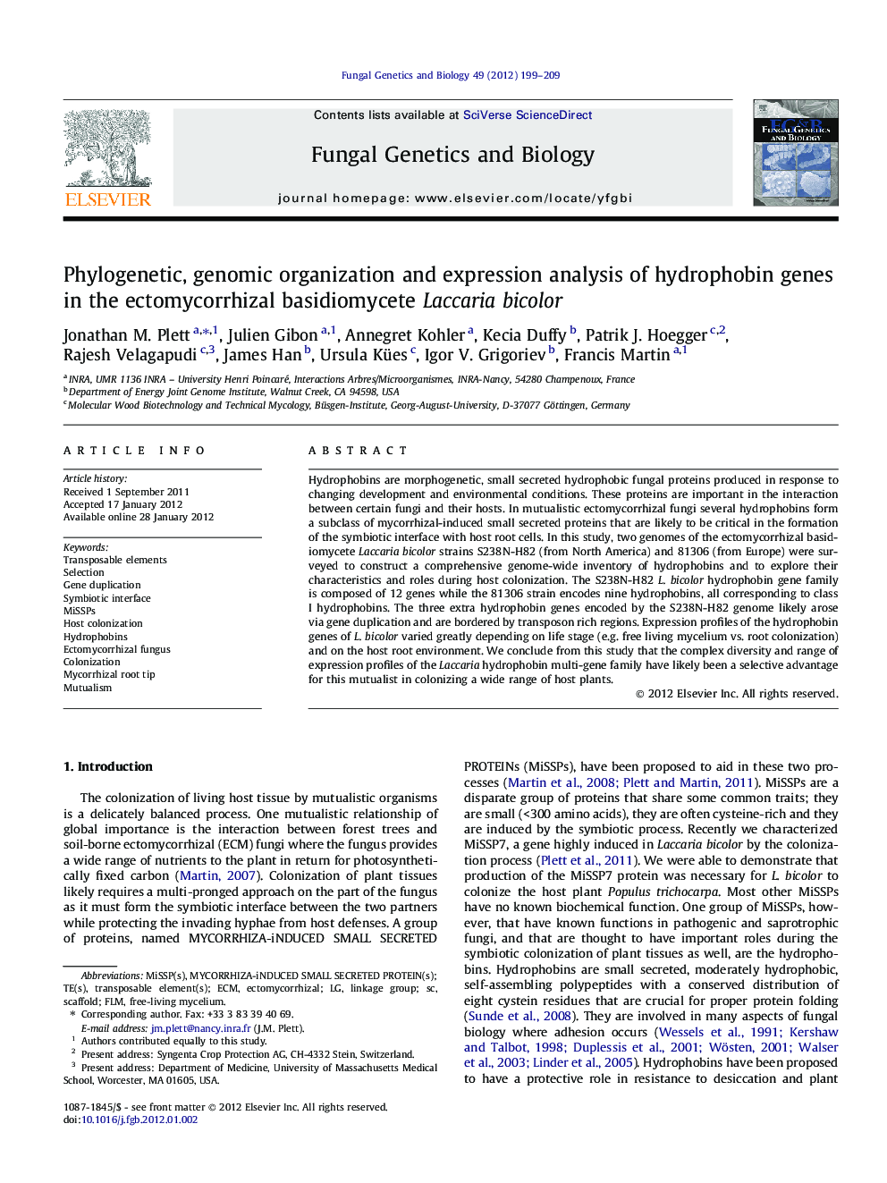 Phylogenetic, genomic organization and expression analysis of hydrophobin genes in the ectomycorrhizal basidiomycete Laccaria bicolor