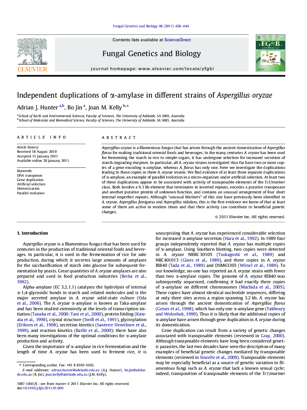 Independent duplications of α-amylase in different strains of Aspergillus oryzae