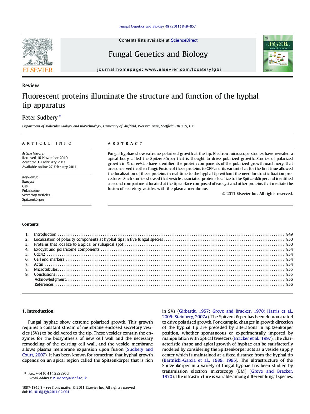 Fluorescent proteins illuminate the structure and function of the hyphal tip apparatus