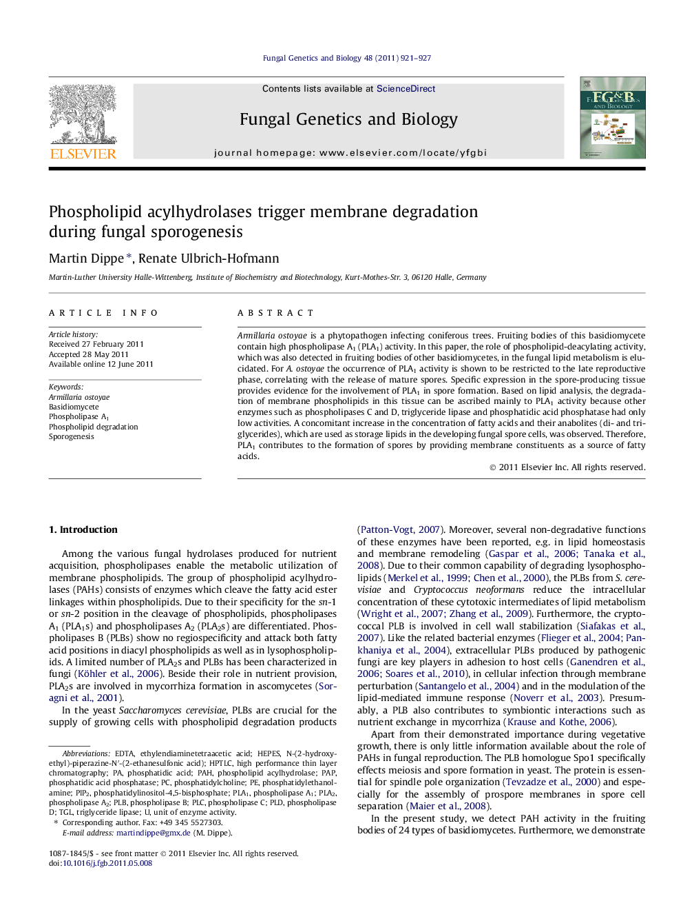 Phospholipid acylhydrolases trigger membrane degradation during fungal sporogenesis