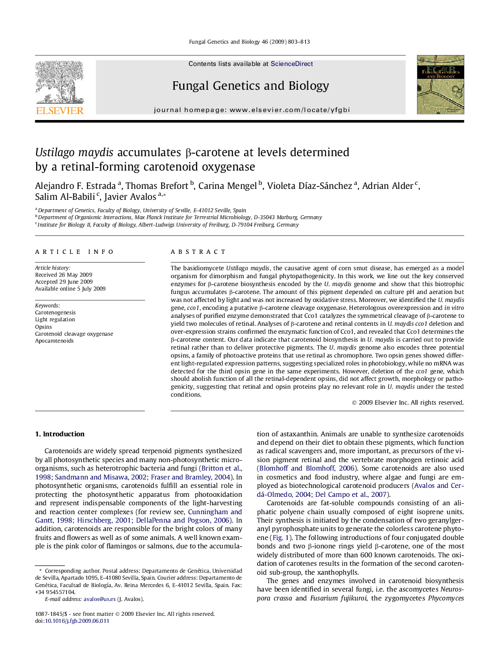 Ustilago maydis accumulates β-carotene at levels determined by a retinal-forming carotenoid oxygenase