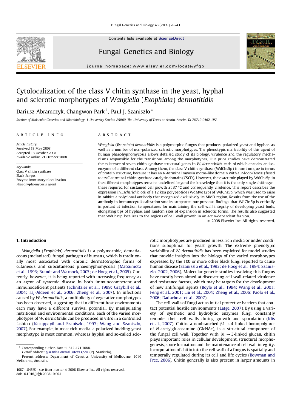 Cytolocalization of the class V chitin synthase in the yeast, hyphal and sclerotic morphotypes of Wangiella (Exophiala) dermatitidis