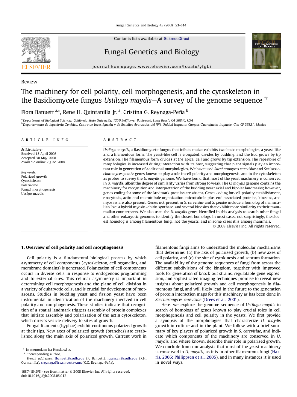 The machinery for cell polarity, cell morphogenesis, and the cytoskeleton in the Basidiomycete fungus Ustilago maydis—A survey of the genome sequence 