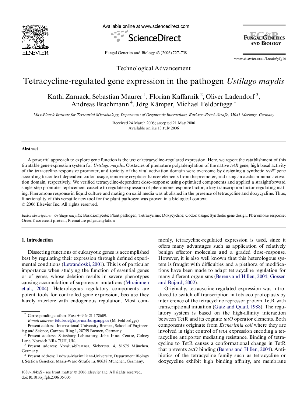 Tetracycline-regulated gene expression in the pathogen Ustilago maydis