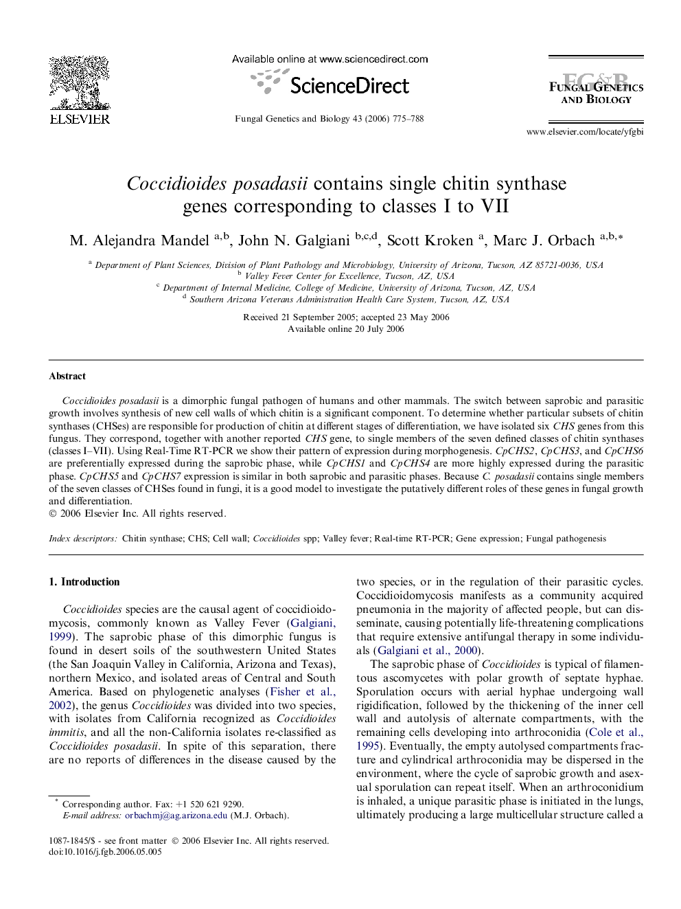 Coccidioides posadasii contains single chitin synthase genes corresponding to classes I to VII