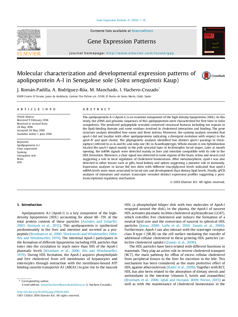 Molecular characterization and developmental expression patterns of apolipoprotein A-I in Senegalese sole (Solea senegalensis Kaup)