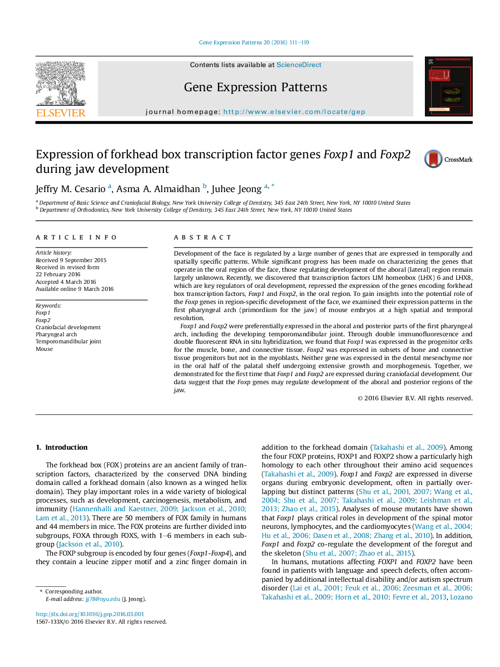 Expression of forkhead box transcription factor genes Foxp1 and Foxp2 during jaw development