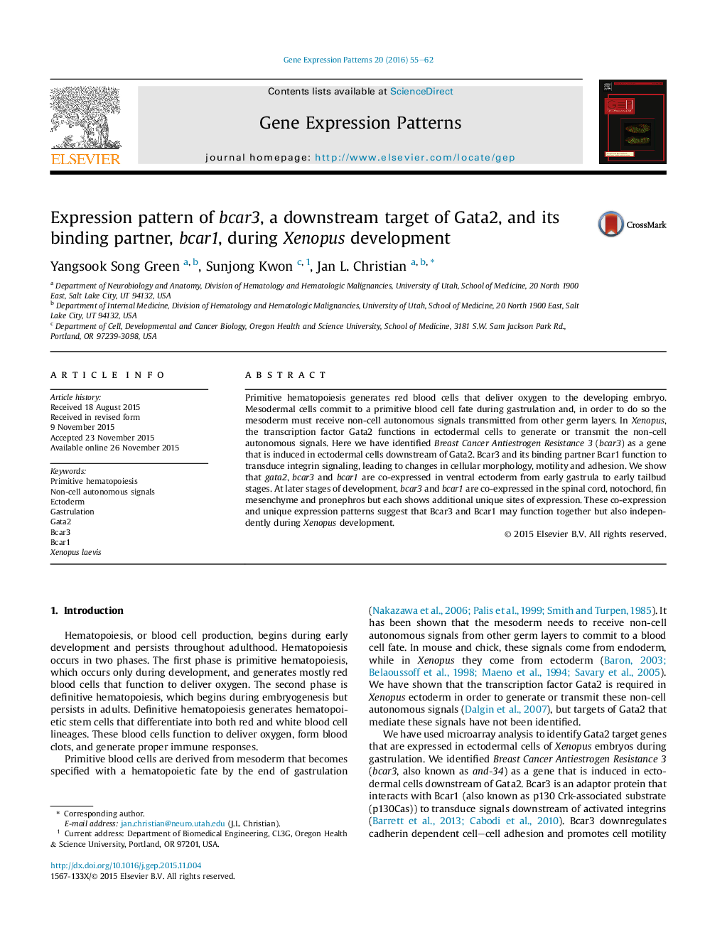 Expression pattern of bcar3, a downstream target of Gata2, and its binding partner, bcar1, during Xenopus development