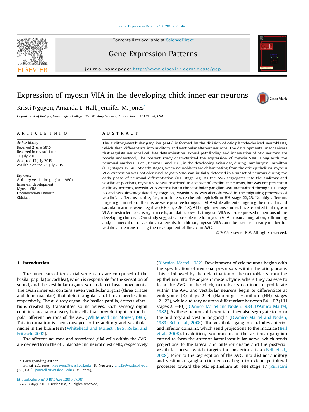 Expression of myosin VIIA in the developing chick inner ear neurons