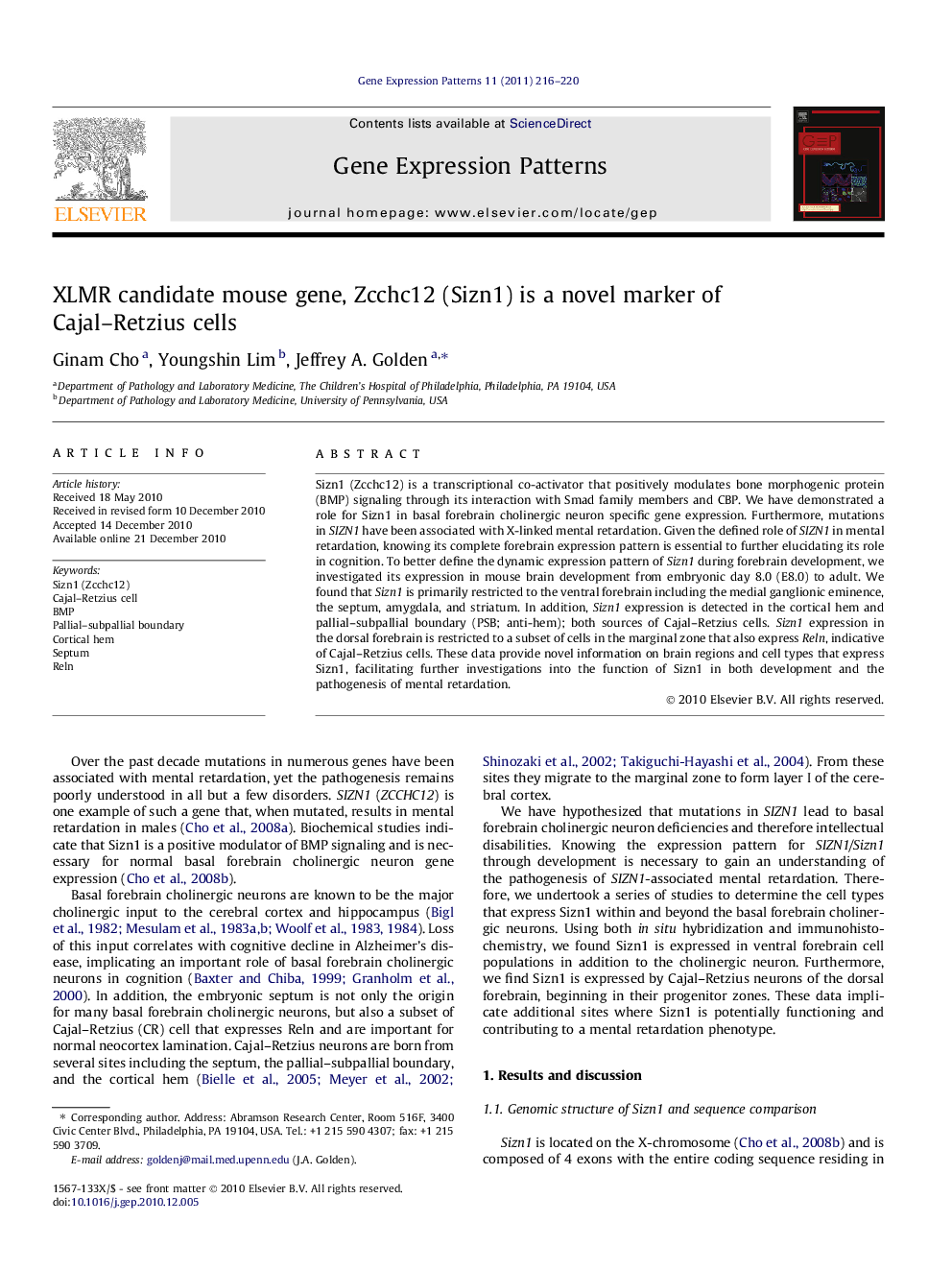 XLMR candidate mouse gene, Zcchc12 (Sizn1) is a novel marker of Cajal–Retzius cells