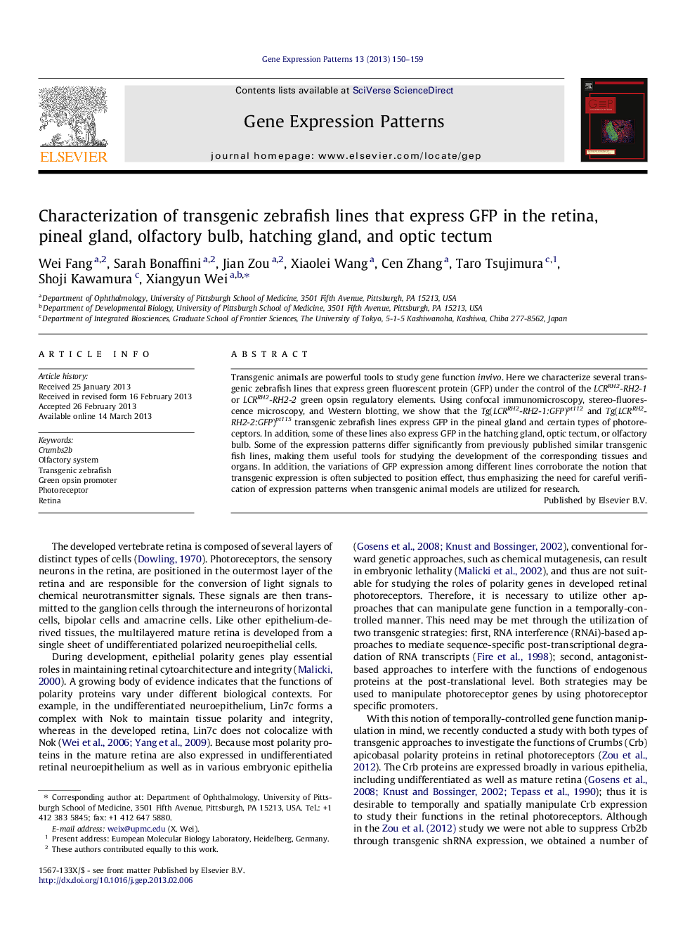 Characterization of transgenic zebrafish lines that express GFP in the retina, pineal gland, olfactory bulb, hatching gland, and optic tectum