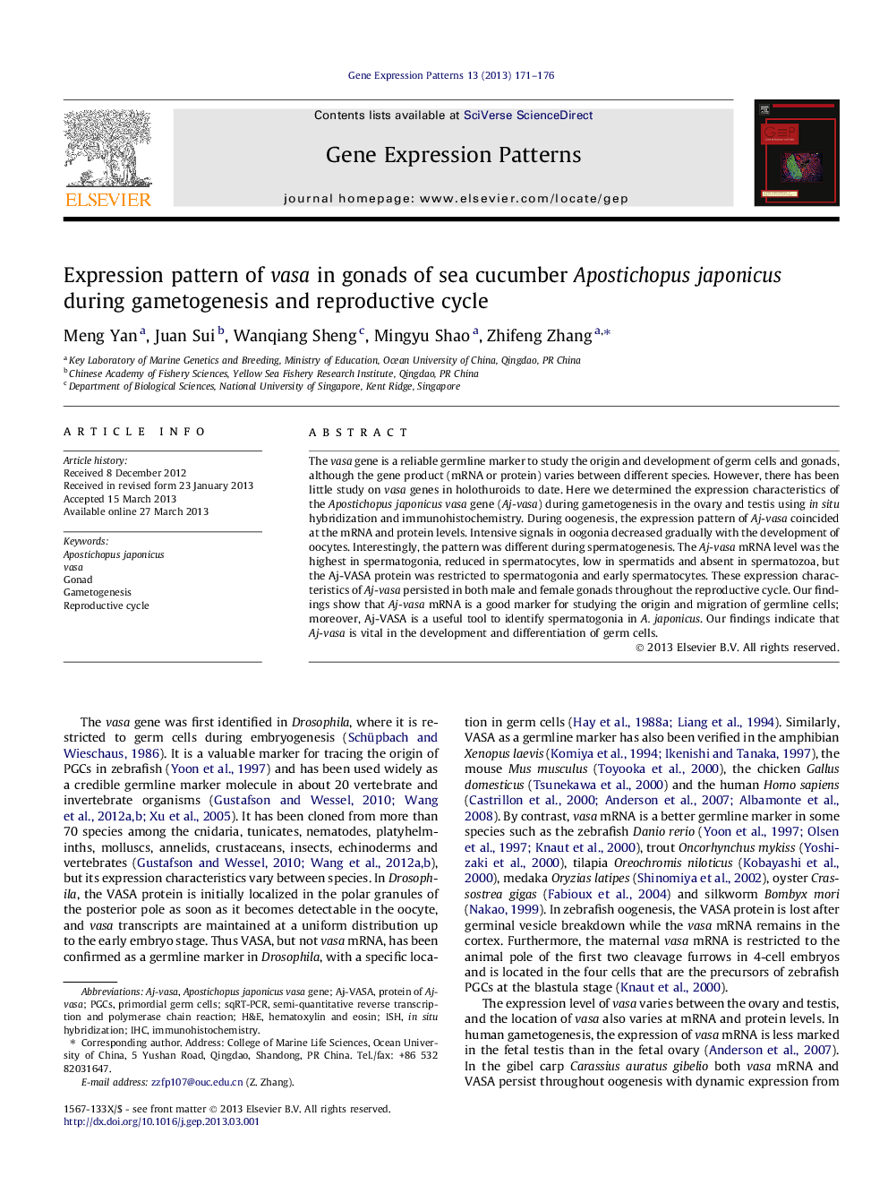 Expression pattern of vasa in gonads of sea cucumber Apostichopus japonicus during gametogenesis and reproductive cycle